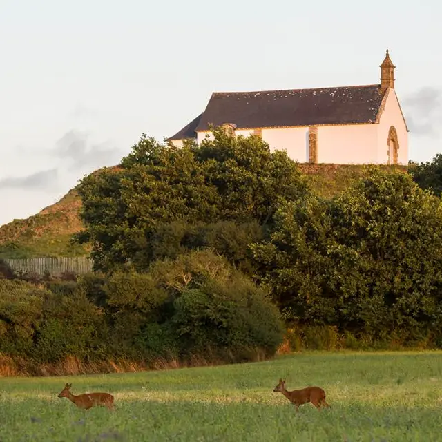 Tumulus-St-Michel-Morbihan-Carnac -Bretagne-Sud