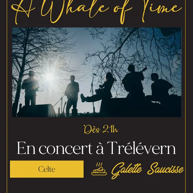 A WHALE OF TIME - Irish music