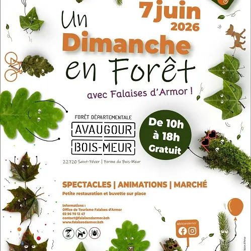 AFFICHE A3