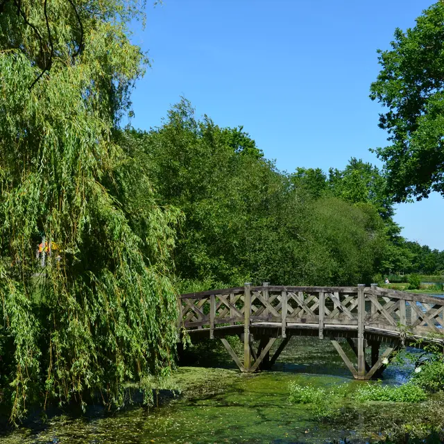 ALLAIRE - Etangs de Coueslé_nathalie guillemain - 7