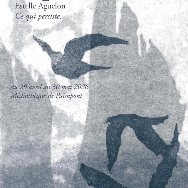 Affiche exposition estelle Aguelon paimpont web_page-0001