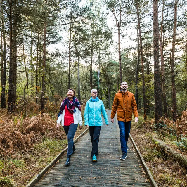 Avaugour-pmr-L'Oeil de Paco - CAD