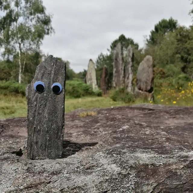 Sur la piste de petit caillou