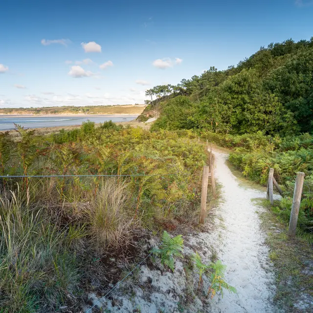 Dunes de Bon Abri_Hillion