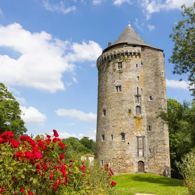 BretagneportedeLoireCommunauté-grand_fougeray_SimonBourcier