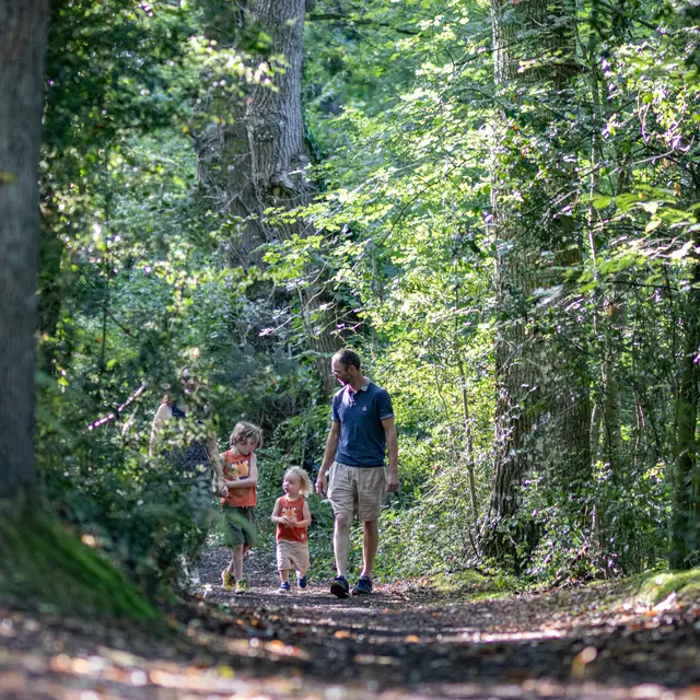 Buttes de la Hautière Muël