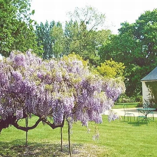 Monsieur et Madame Quernée-Pottier