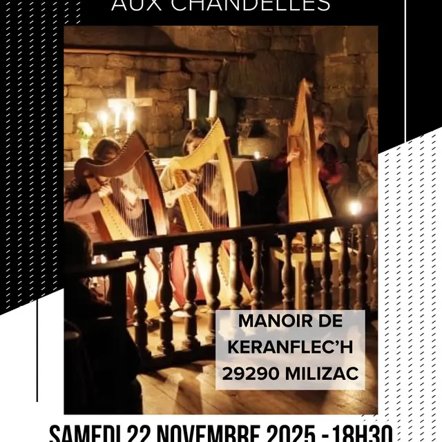 Affiche concert de harpes