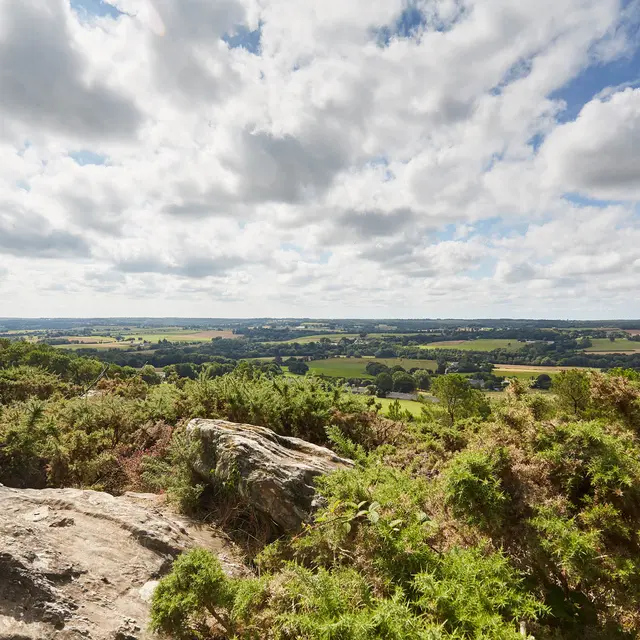 CMC18@alamoureux_MG_8394