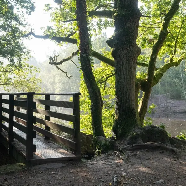 Val-sans-retour_Miroir-aux-fées_Tréhorenteuc_Paimpont_DestinationBrocéliande
