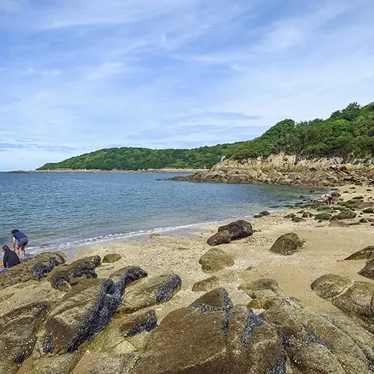 Plage de l'Anse de la Vierge