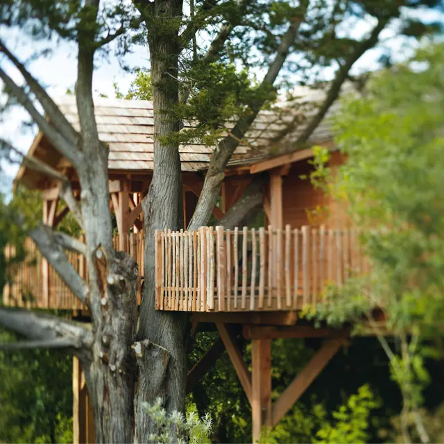 Cabane-La Grée des Landes