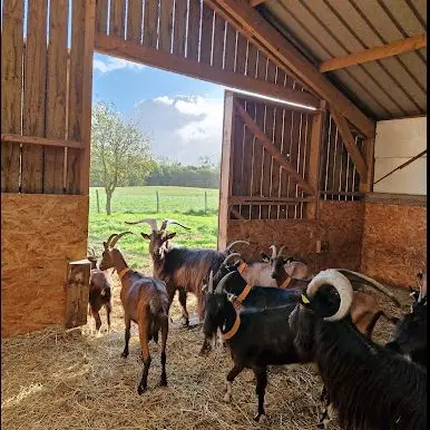 La Chévrerie d'Aurore-Saint-Malo
