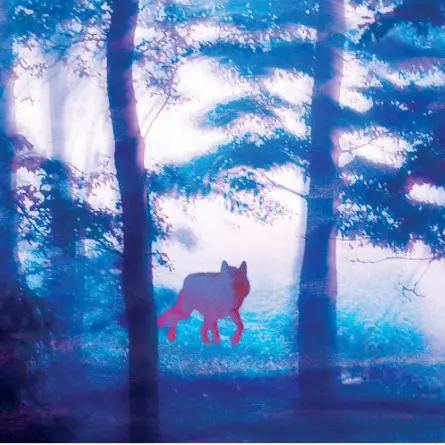 Théâtre participatif