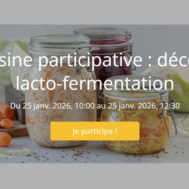 Atelier cuisine participative : découvrons la lacto-fermentation