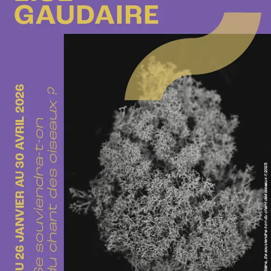 Exposition Se souviendra-t-on du chant des oiseaux ?