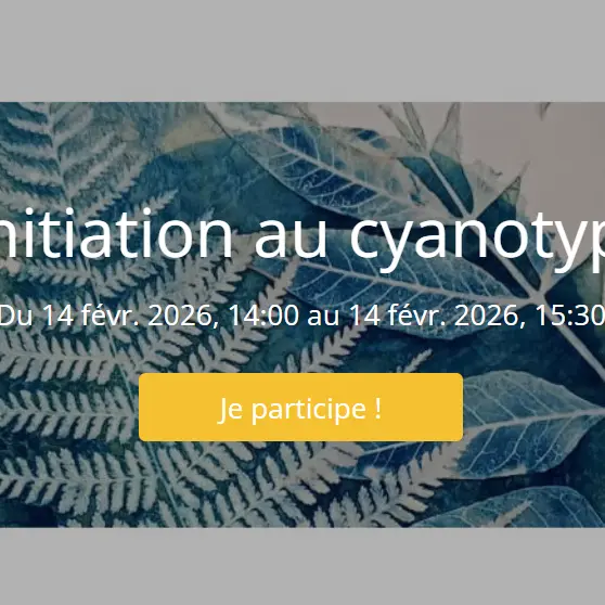 Atelier initation au cyanotype végétal