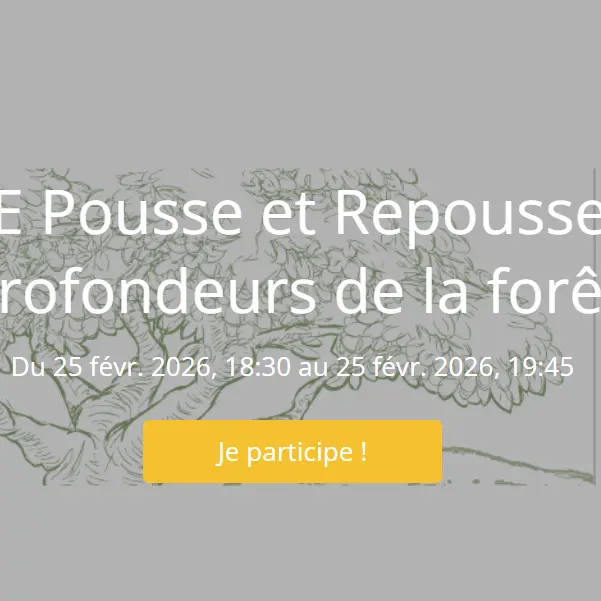 Spectacle Pousse et Repousse, Dans les profondeurs de la forêt