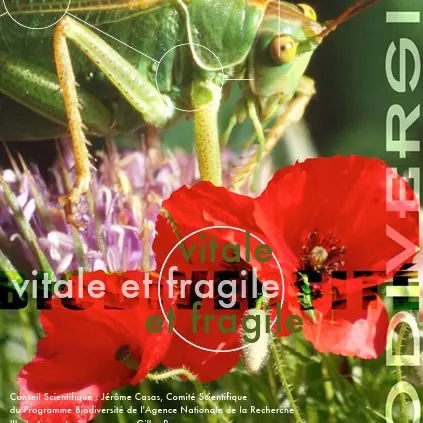 Capture d'écran 2026-03-05 110809