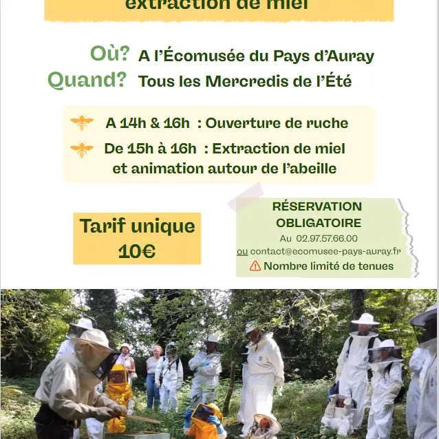 Capture d’écran 2026-07-25 174937