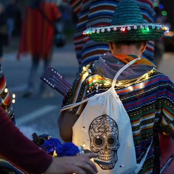 Carnaval nocturne - char - fête - Ploërmel - Bretagne