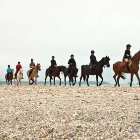Centre équestre et poney club de la Foucheraie