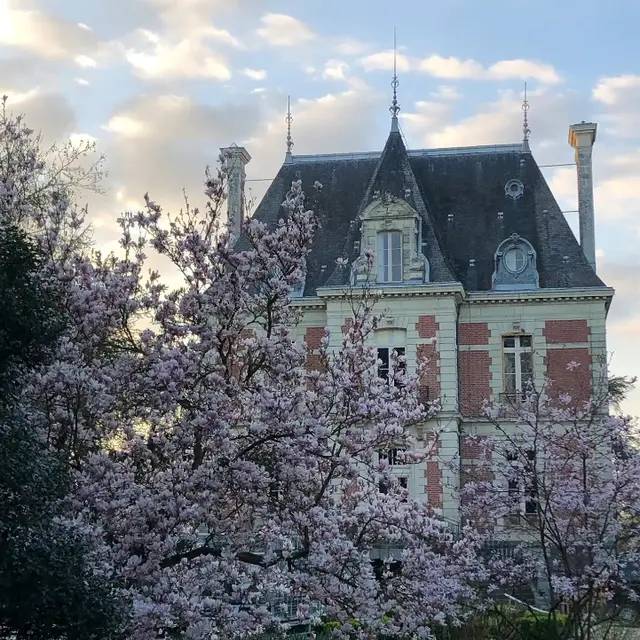 Château_JustineMorales