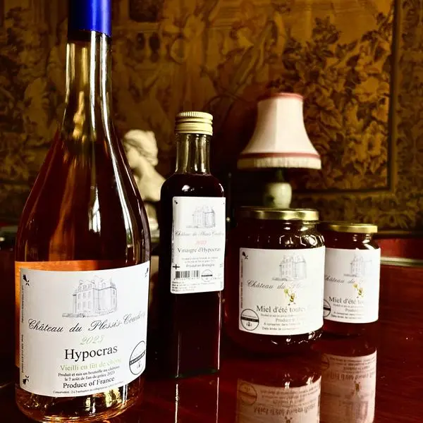 Chateau du plessis coudray