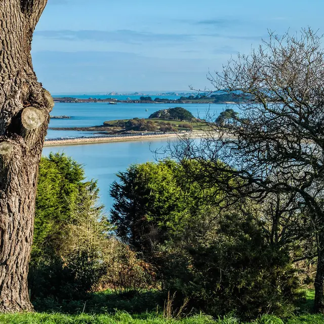 Champ de la Rive @T. Page-Jones (11)