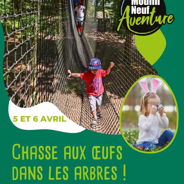 Chasse aux oeufs dans les arbres