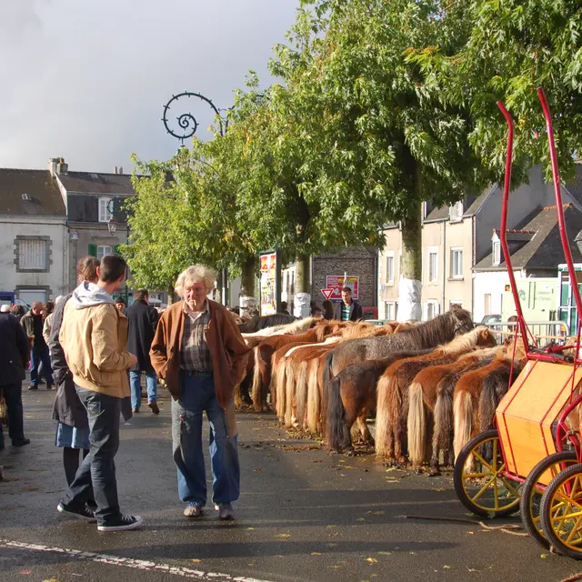 Foire aux chevaux