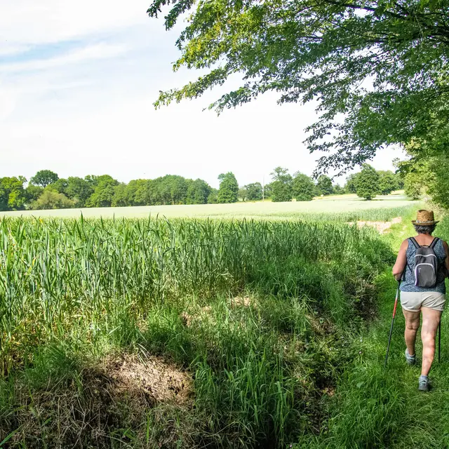 Campagne de Saint-Gonlay