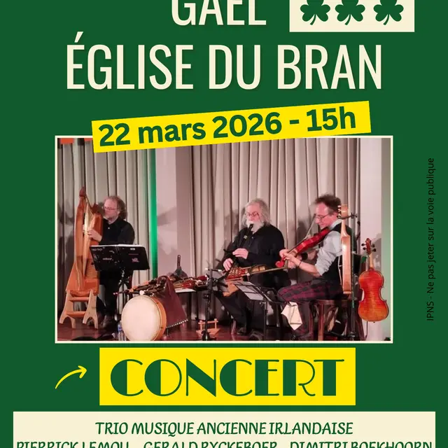 Affiche Evènement Soirée Fête irlandaise Saint Patrick Concert Vert Orange Festif Moderne   - 1