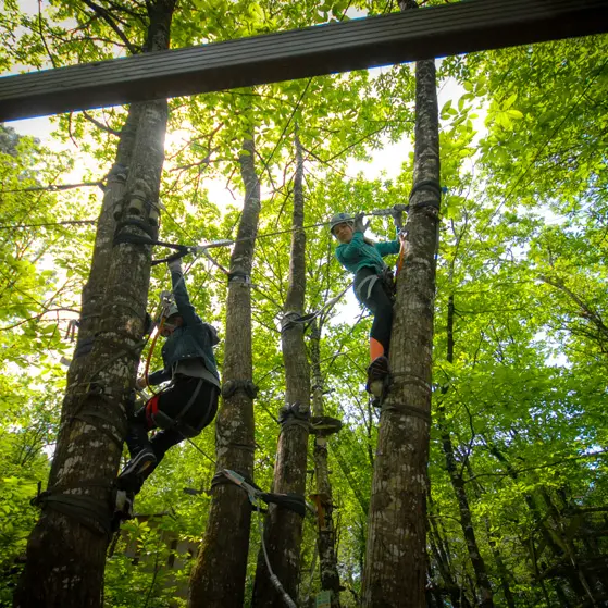 Corsaire Aventure - dans les arbres - Saint Père