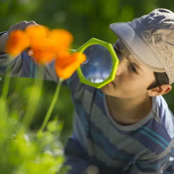 Sortie Nature - Concoret - Ploërmel communauté - Brocéliande