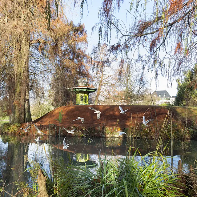 Cyprès chauve - décembre 2020 -01 compréssé (004)