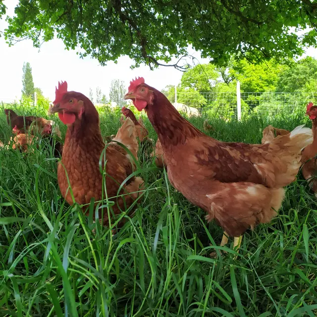 DEG_2024_Ferme_Kervern (1)