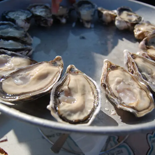 Huîtres Céline Maisons à Saint-Méloir-des-Ondes