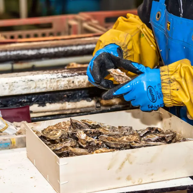 La Ferme Marine de Cancale