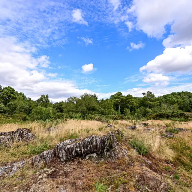 Les Landes de Monteneuf