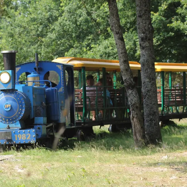 Diverty-Parc-train
