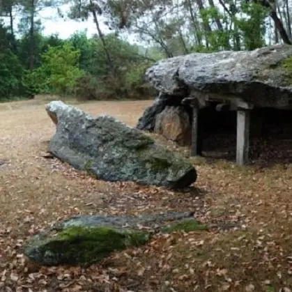 Domaine des Tablettes-Cournon-août-25