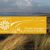 Dunes sauvages