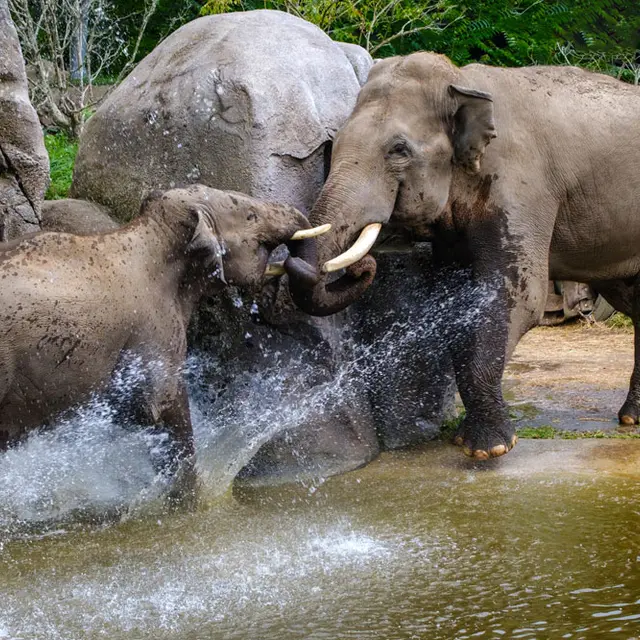 Les Terres de Nataé