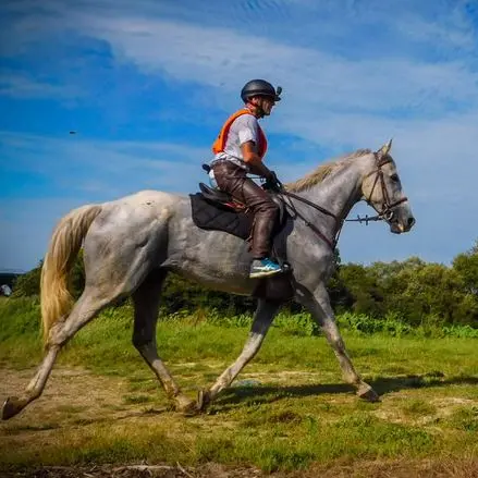 endurance-equestre