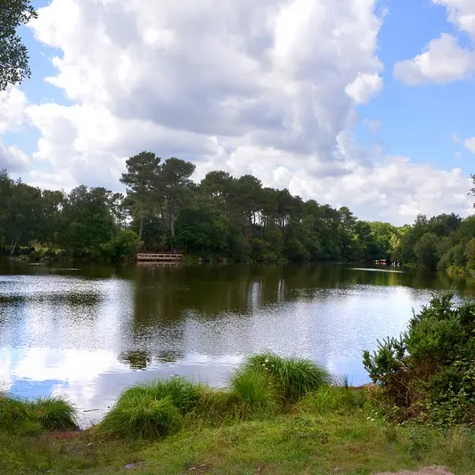 Etang-de-Tregu-Plelan-le-Grand