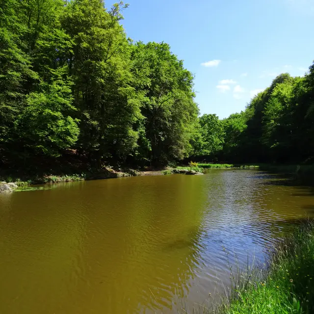 Etang-de-la-Croix-Madame