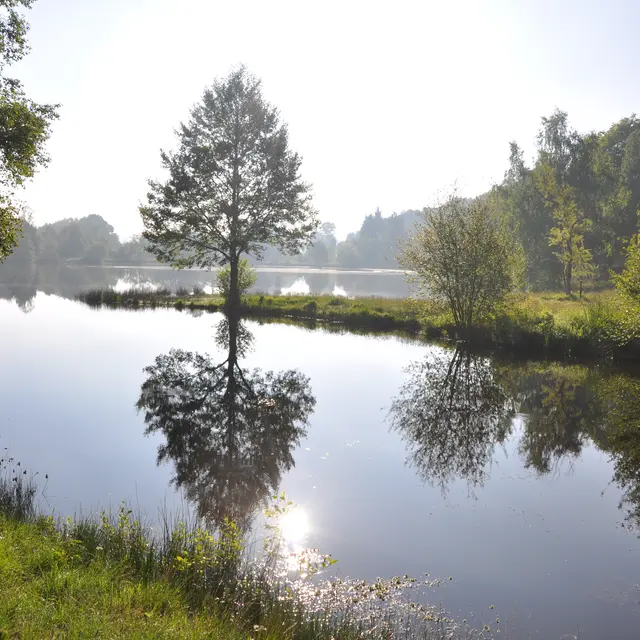 Etang de la Marette St Malon Sur Mel. Crédit photos Roger Blot (6)