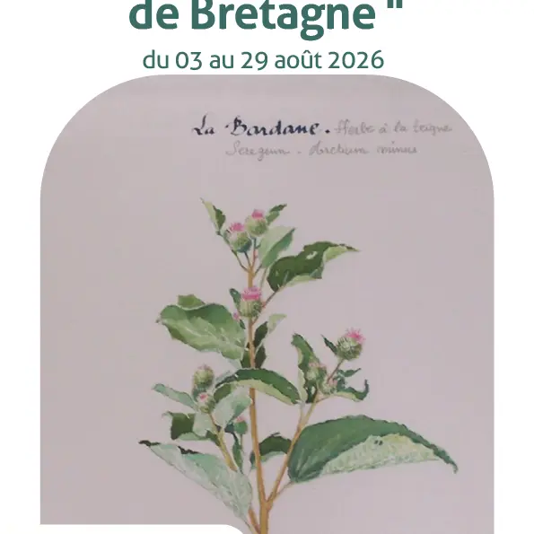 Exposition_plantes_medicinales