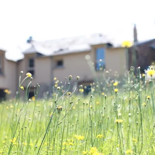 Exterieurs Gite la Hulotte - St-Malon-sur-Mel